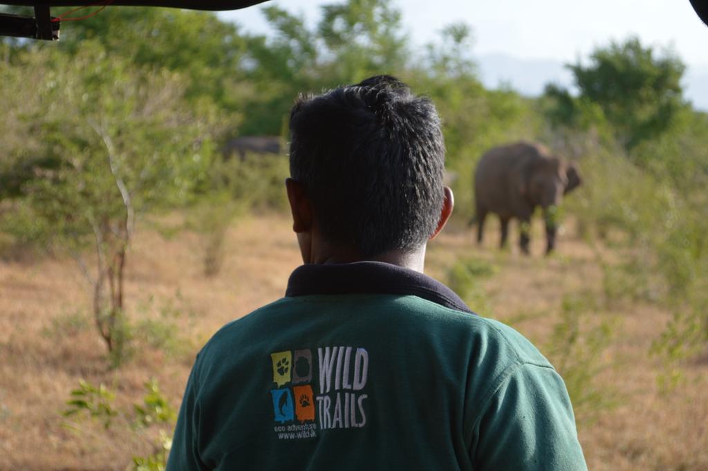 Wild Panthera Yala Tissamaharama Εξωτερικό φωτογραφία